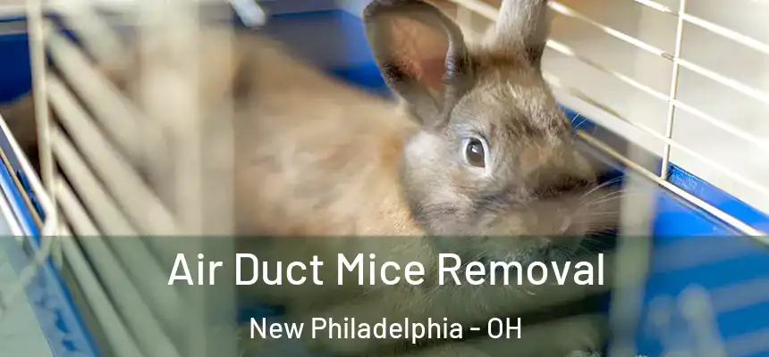  Air Duct Mice Removal New Philadelphia - OH
