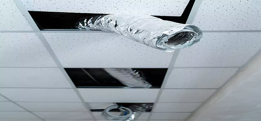 Our Air Duct Pet Hair Removal Services in New Philadelphia, OH