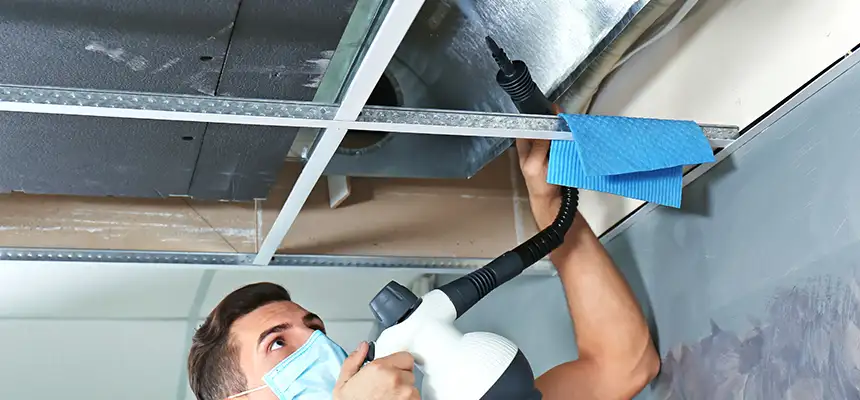 Our Air Duct Rodent Removal Services in New Philadelphia, OH