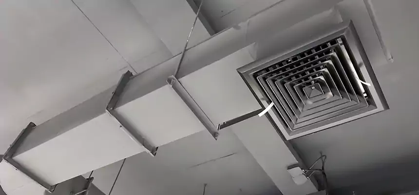 Our Pest Removal From Ducts Services in New Philadelphia, OH