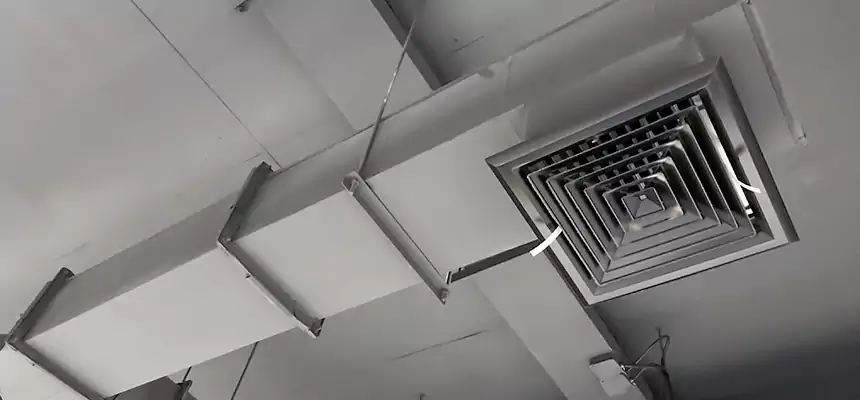 Our Rodent Droppings In Vents Services in New Philadelphia, OH