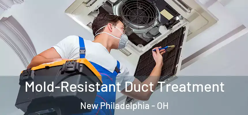  Mold-Resistant Duct Treatment New Philadelphia - OH
