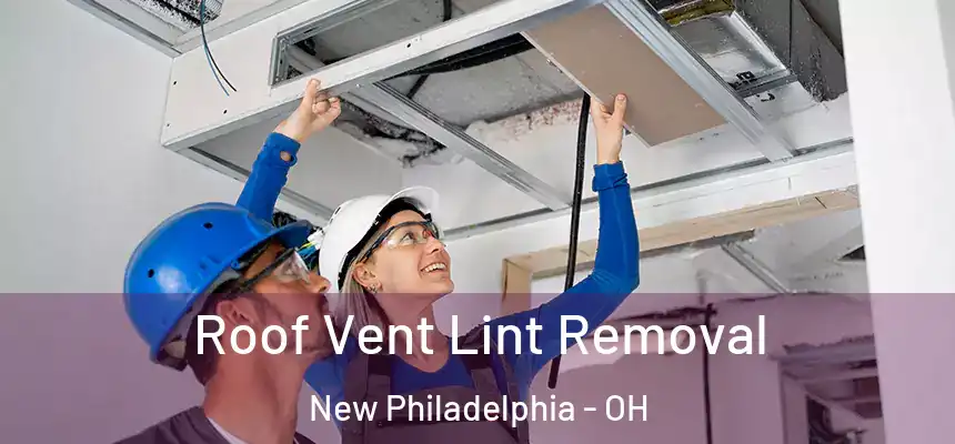 Roof Vent Lint Removal New Philadelphia - OH