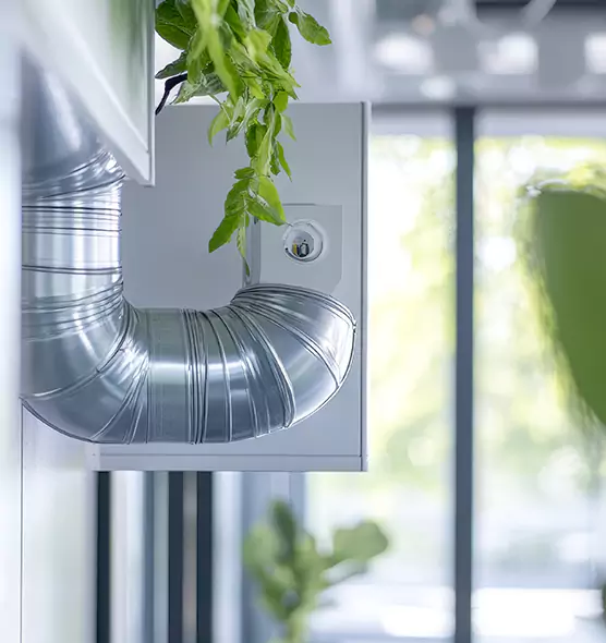 Professional Eco-Safe Dryer Vent Cleaning in New Philadelphia, OH