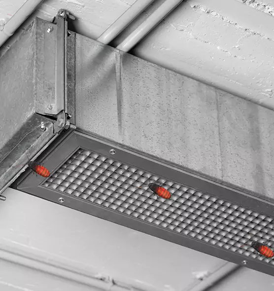 Affordable Insect Removal from Air Ducts in New Philadelphia, OH