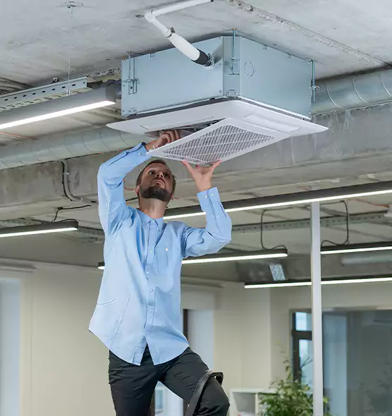 Advanced Rodent Droppings In Vents in New Philadelphia, OH